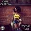 Artwork for To The Limit (Funky Mix)