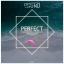 Artwork for Perfect (Original Mix)