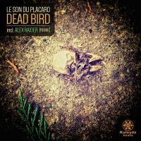 Artwork for Dead Bird by Le Son Du Placard