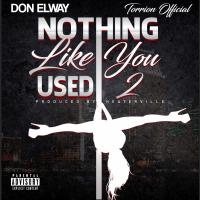 Artwork for Nothing Like You Used 2 (feat. Torrion Official) by Don Elway