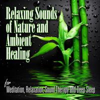 Sounds of Nature Relaxation