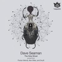 Artwork for The Holy Ghost by Dave Seaman