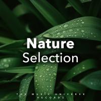 Artwork for Nature Selection by Rain Sounds