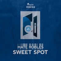 Artwork for Sweet Spot by Mate Robles