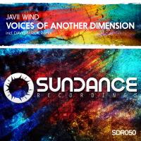 Artwork for Voices Of Another Dimension by Javii Wind