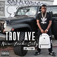 Artwork for New York City by Troy Ave