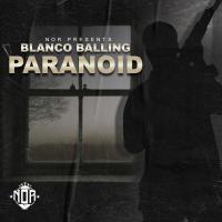 Artwork for Paranoid by Blanco Balling