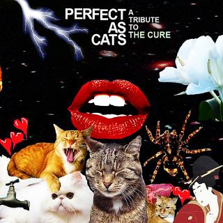 Artwork for A Forest (Perfect As Cats Version)