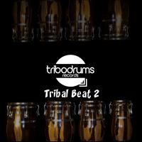 Artwork for Tribal Beat 2 by Plastikbeat