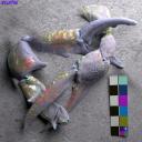 Artwork for Let You Know