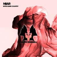 Artwork for Intro Dark Country by NIIAR