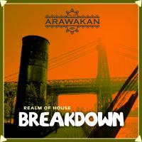 Artwork for BreakDown by Realm of House