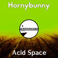 Artwork for Acid Space by Hornybunny