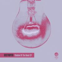 Artwork for Shadow Of The Beast EP by Destroyer