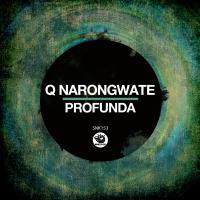 Artwork for Profunda by Q​ NARONGWATE