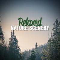 Artwork for Relaxed Nature Scenery by Sounds of Nature Relaxation