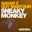 Artwork for Sneaky Monkey (Audio Junkies Big Room Mix)