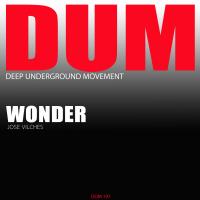Artwork for Wonder by Jose Vilches