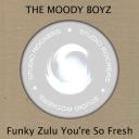 Artwork for Funky Zulu You're So Fresh(Chapter Three)