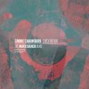 Artwork for Catch the Sun