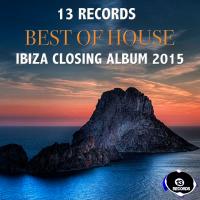 Artwork for Ibiza Closing Album 2015 by Will Varley