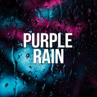 Artwork for Purple Rain by Rain Sounds