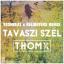 Artwork for Tavaszi Szel (Yoshbeat, Delighters Remix)