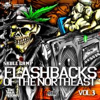 Artwork for Flashbacks of the Northeast, Vol. 3 by Skull Camp