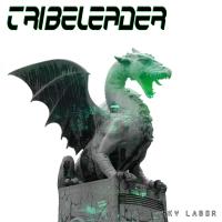 Artwork for Sky Labor by Tribeleader