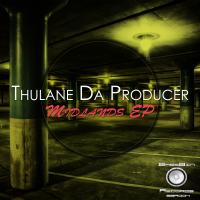 Artwork for Midlands EP by Thulane Da Producer