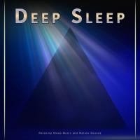 Artwork for Deep Sleep: Relaxing Sleep Music and Nature Sounds by Deep Sleep