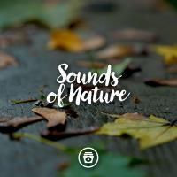 Artwork for Sounds Of Nature by Nature Sounds Nature Music