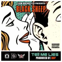 Artwork for Tell Me Lies (feat. Cross Chatter) by Black Sheep