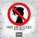 Artwork for Not My Bitches