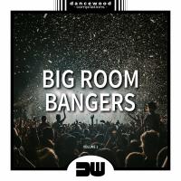 Artwork for Big Room Bangers, Vol. 1 by Various Artists