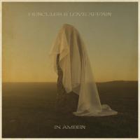 Artwork for In Amber by Hercules & Love Affair