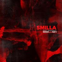 Artwork for Shift Sequence Remixes Part 2 by Smilla