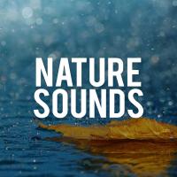 Artwork for Nature Sounds by Rain Sounds