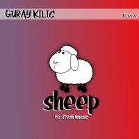 Artwork for Sheep by Guray Kilic