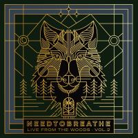 Artwork for Live From the Woods Vol. 2 (Abridged) by NEEDTOBREATHE