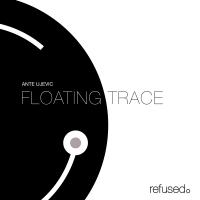 Artwork for Floating Trace by Ante Ujevic