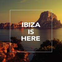 Artwork for Ibiza Is Here by Tropical House