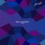Artwork for Carib (DJ Wedding Raw Disco Remix)