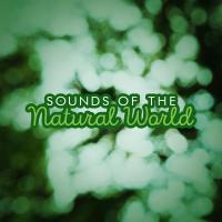 Artwork for Sounds of the Natural World by Nature Sounds Nature Music