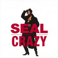 Artwork for Crazy by Seal