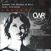 Artwork for Leaves by Aaron The Baron