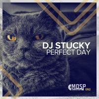 Artwork for Perfect Day by DJ Stucky