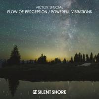 Artwork for Flow Of Perception / Powerful Vibrations by Victor Special