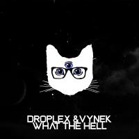 Artwork for What The Hell by Droplex