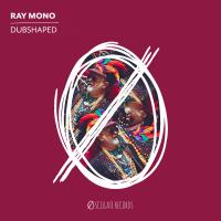 Artwork for Dubshaped by Ray Mono